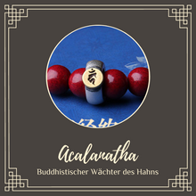 Buddha Schutzgott Tierkreiszeichen Armband - Glück & Schutz
